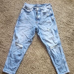 Arizona Jean Company Light Blue Distressed Curvy Mom Jean